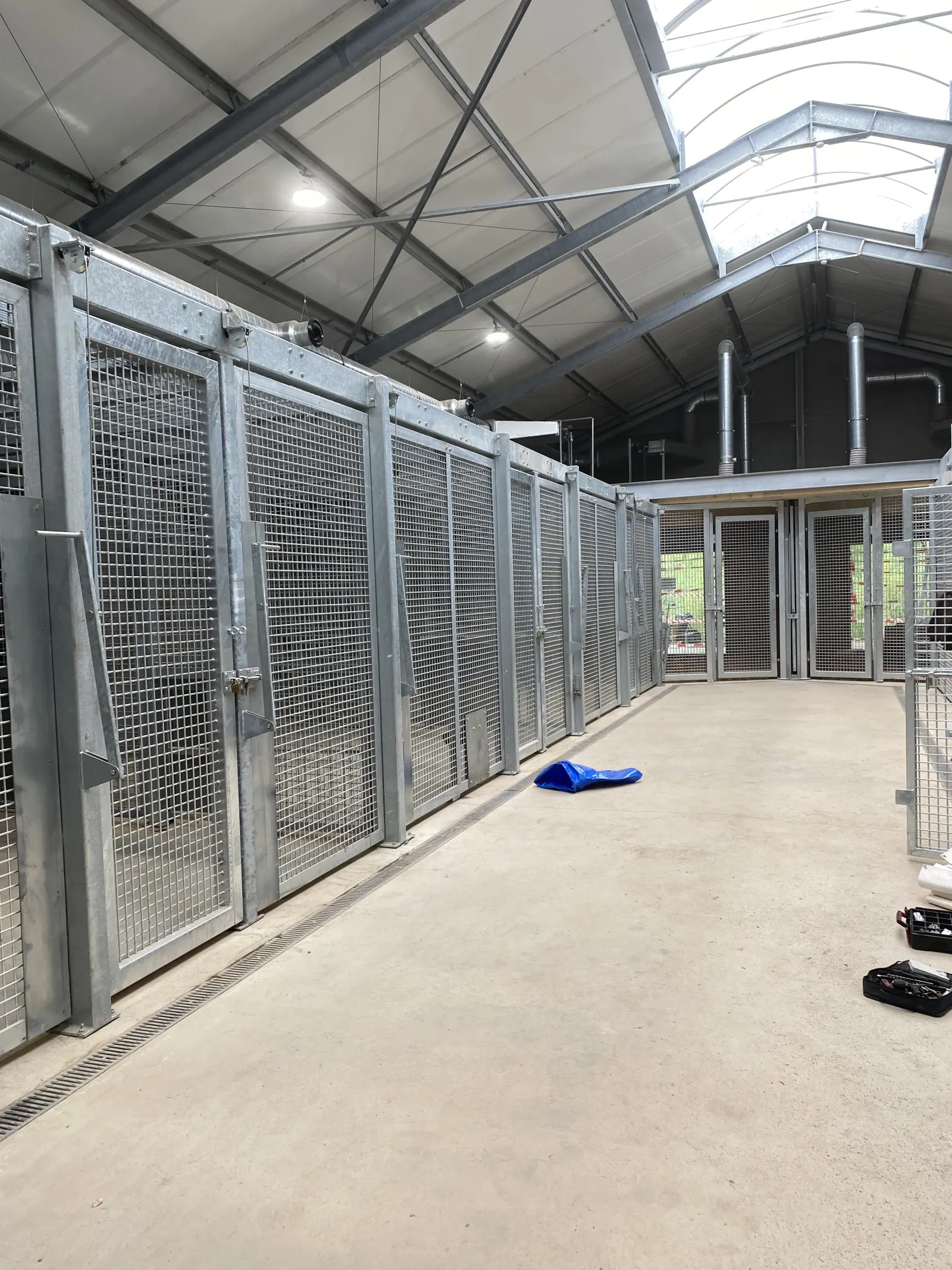 Structure métallique pour enclos de lions réalisée par Design Ferronnerie