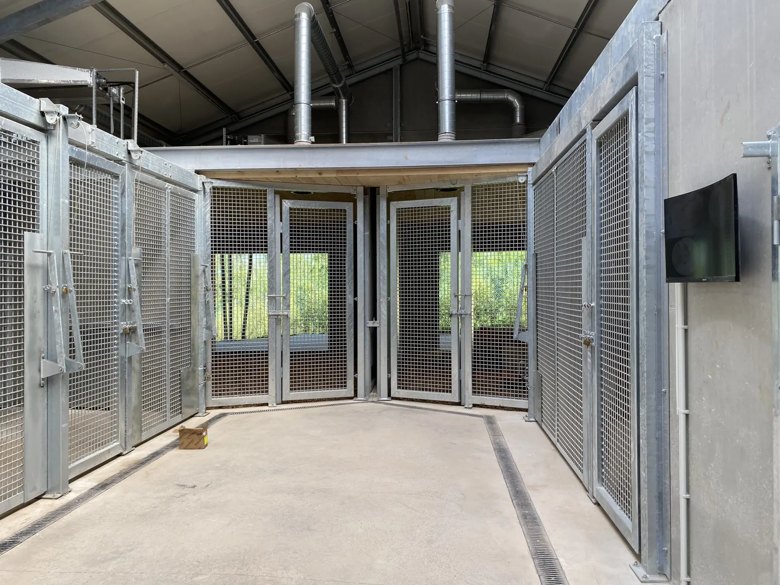 Structure métallique pour enclos de lions réalisée par Design Ferronnerie